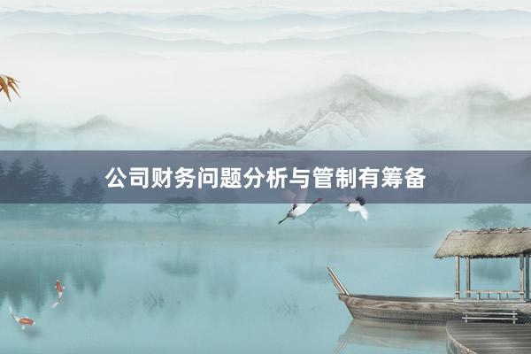 公司财务问题分析与管制有筹备